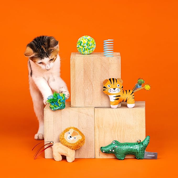Fringe Studio 6PCS Multipack Cat Toy Set That's JUST GRRRREAT, Pet Shop Collection (610023)