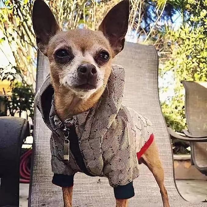 Dog Hoodie Luxury Winter Small Dog Jacket Clothes Classic Designer French Bulldog Teddy Pug Puppy Clothes(S)