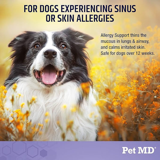 Pet MD Allergy Aid - Puppy & Dog Allergy Chews with Quercetin & Pumpkin - Immune & Seasonal Allergy Relief for Dogs - Skin & Itch Relief for Dogs - 60 ct