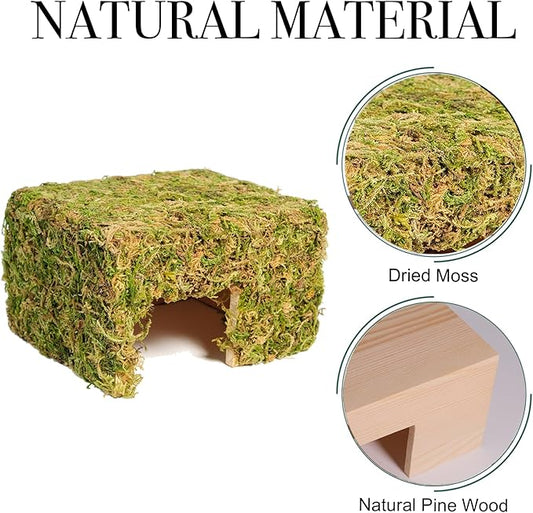 Hamster Hideout - Large, Natural Moss, Handcrafted for Syrian Hamsters, Rats & Guinea Pigs, Hermit Crab,Hedgehogs,Lizards & Other Reptiles(Square, Large)