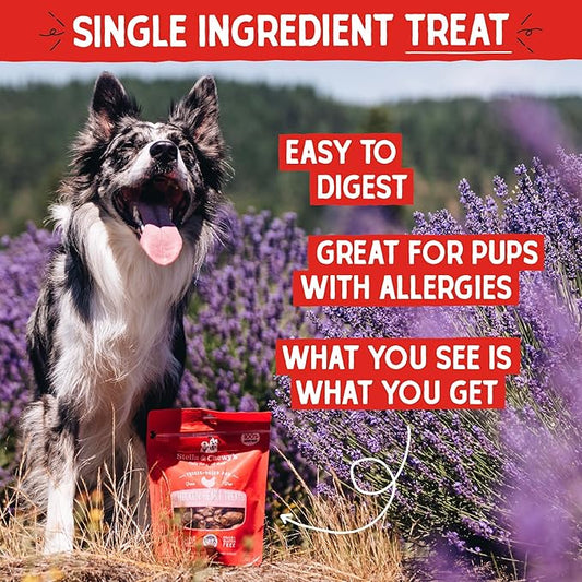 Stella & Chewy's Freeze-Dried Raw Chicken Heart Dog Treats - Single Ingredient, No Additives - Premium Training Treats - Perfect For Picky Eaters - 11oz Bag