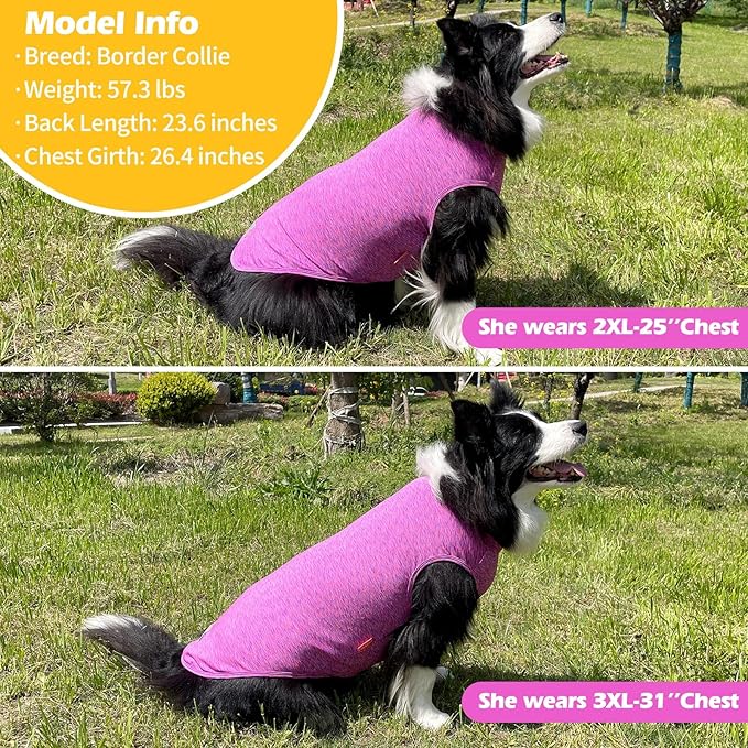 KYEESE 2 Pack Dog Shirts Quick Dry Soft Stretchy Pet T-Shirts with Reflective Label Tank Top Sun Protection Sleeveless Vest Dog Clothes for Medium Large Dogs, XX-Large, Purple+Pink