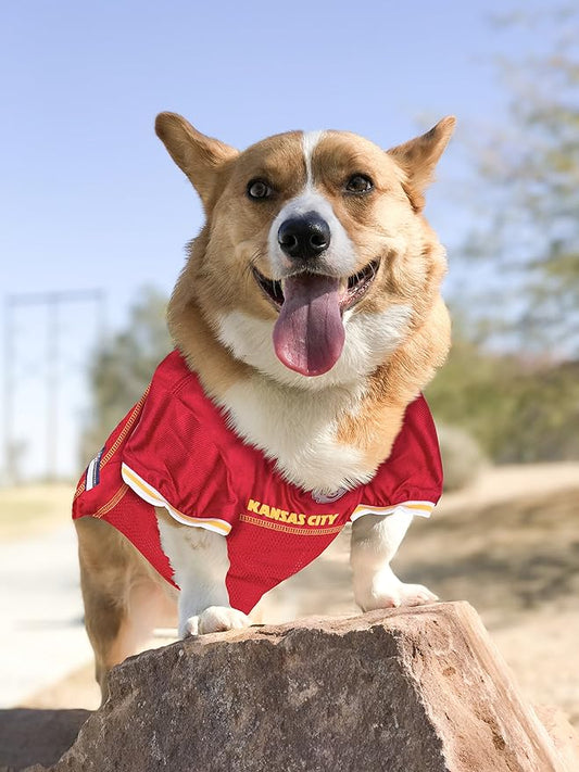 Pets First NFL Kansas City Chiefs Dog Jersey, Size: Large. Best Football Jersey Costume for Dogs & Cats. Licensed Jersey Shirt