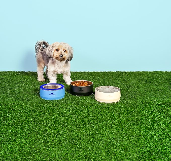 STANLEY Pet Bowl | 3-Cup (24 oz) Insulated Stainless Steel Dog & Cat Bowl | Splash-Resistant Lid | Dishwasher Safe | BPA-Free | Black 2.0