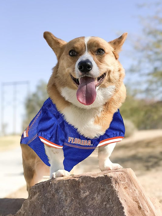 NCAA College Florida Gators Mesh Jersey for DOGS & CATS, XXX-Large. Licensed Big Dog Jersey with your Favorite Football/Basketball College Team