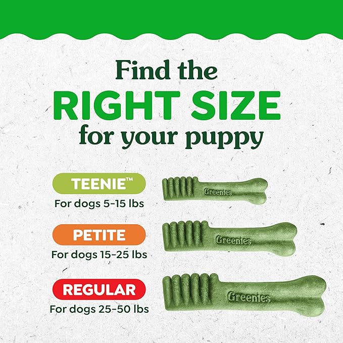 Greenies Dental Treats for Dogs, Veterinarian-Recommended Natural Puppy Treats Regular Size, 6 oz. Pack, 6 Count