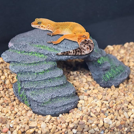 PENN-PLAX Reptology Shale Scape Step Ledge – Decorative Resin for Aquariums & Terrariums – Great for Reptiles, Amphibians, and Fish – Small