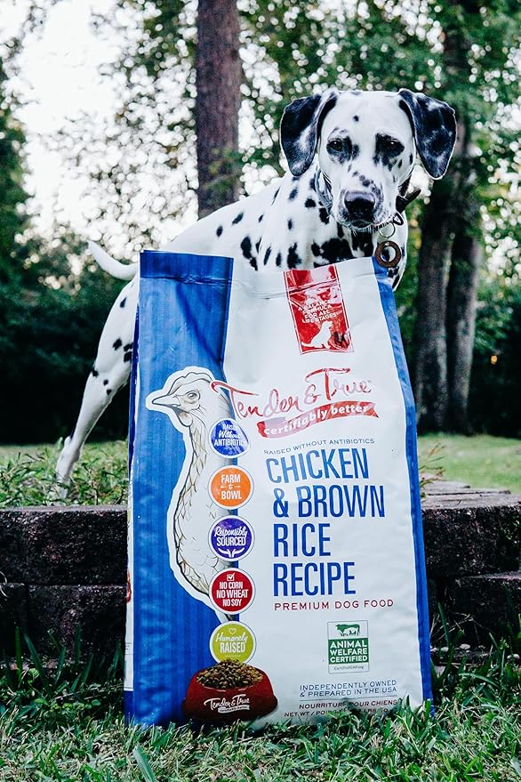 Dalmatian dog standing next to a bag of Turkey & Rice chicken and brown rice recipe dog food.