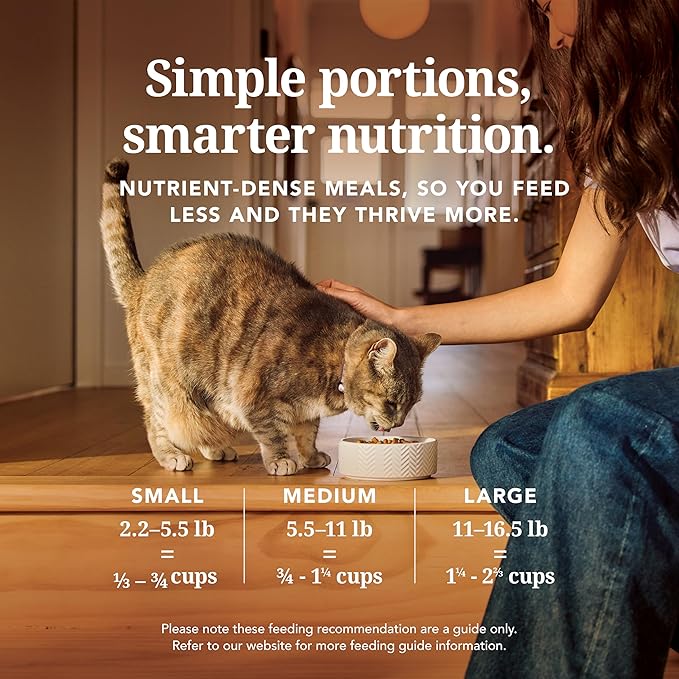 Feline Natural Freeze Dried Cat Food - Grain-Free and High Protein Cat Food from New Zealand, Complete Meal or Topper for Kittens, Adults, and Senior Cats, Chicken and King Salmon, 3.5oz