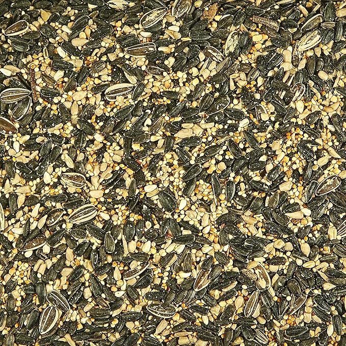 Kaytee Northeast Regional Wild Bird Blend,7-Pound Bag,(Pack of 6)