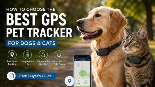 How to Choose the Best GPS Pet Tracker for Dogs &amp; Cats (2026 Buyer’s Guide)