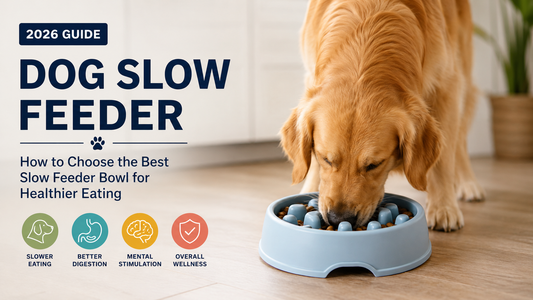 How to Choose the Best Dog Slow Feeder Bowl in 2026