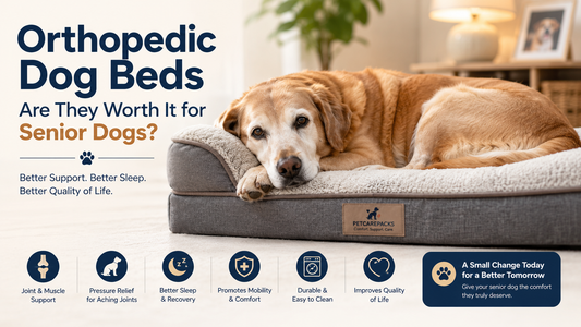 Senior dog resting comfortably on a memory foam orthopedic dog bed with supportive cushioning for aging joints