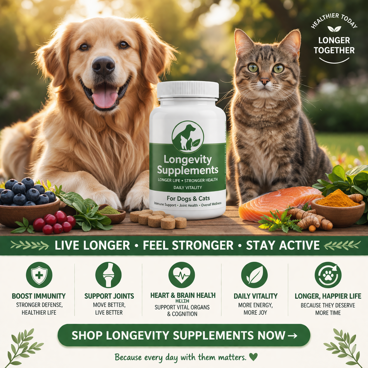 pet longevity supplements dog cat immune support joint health long life pet wellness vitamins