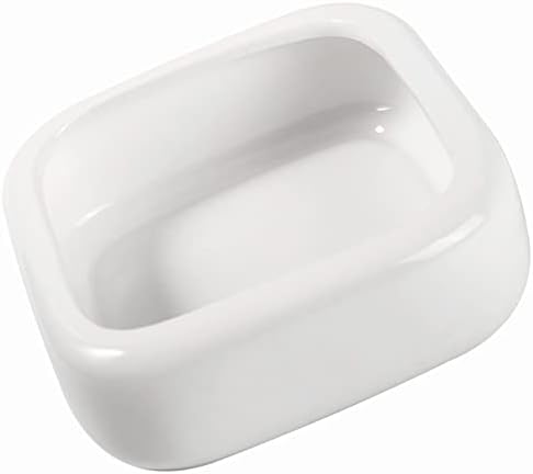 Ceramic Reptile Food Bowls, Reptile Water Food Dish (White, Large-1Pack)