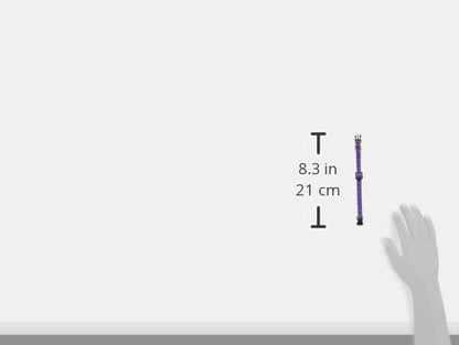 Casual Canine TwoTone Pawprint Dog Collar, 6-10-Inch, Purple