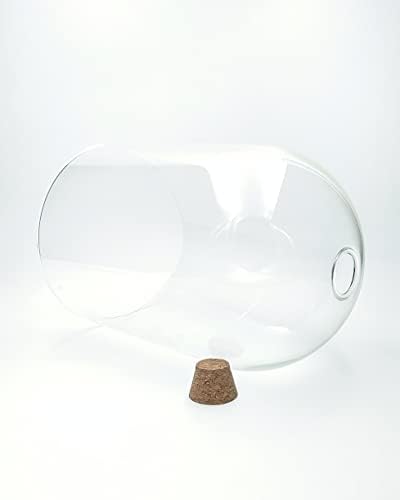 Handblown 12" Glass Terrarium with Opening for Air Flow & Cork Stopper Cloche Style Glass Dome Vivarium Display Case (Extra Large)