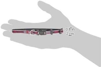 Pets First Collegiate PET Collar New Version Arkansas Razorbacks Dog Collar, Size Small. Best Sports Team Color for Dogs & Cats. A Shiny & Colorful Dog & Cat Collar Licensed by The NCAA