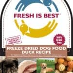 Fresh Is Best Duck Freeze Dried Dog Food – Raw Dog Food Toppers for Puppies & Adult Canines – High-Protein Freeze Dried Duck in Resealable Zipper Bag – Made in the USA – 8 oz