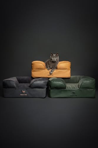 NOAH & PAW Small Dog Bed, 20x15x8 Inch, Cat Bed for Indoor Cats, Orthopedic Eggshell Memory Foam Infused with Cooling Gel, Water Resistant Inner Cover Machine Washable (Faux Leather)