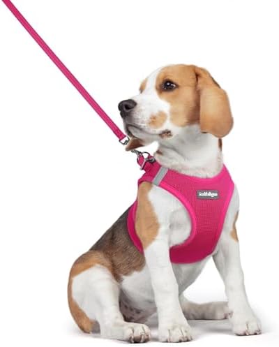 rabbitgoo Dog Harness Medium Sized and Leash Set, Step-in Puppy Pet Vest