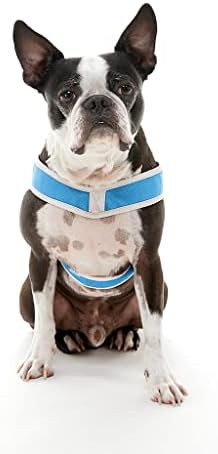 Gooby Simple Step-in III Dog Harness, Blue, Large
