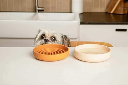 The Perfect Dish - Silicone Dog Bowl for Food & Water, 6" x 1.25"-Ocean