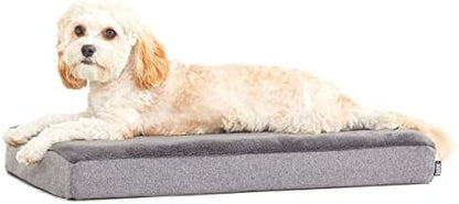 BarkBox Orthopedic Dog Bed - Small