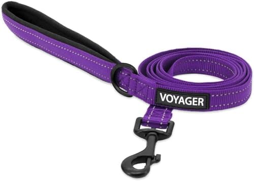 Best Pet Supplies Voyager Nylon Dog Leash - Purple, Small