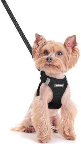 rabbitgoo Dog Harness Small Sized and Leash Set, Step-in Puppy Pet Vest