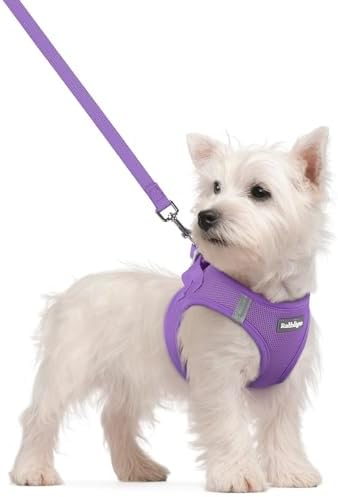 rabbitgoo Dog Harness Small Sized and Leash Set, Step-in Puppy Pet Vest