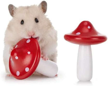 Niteangel Hamster Chew & Decor Toys: Pack of 2 Mushroom-Shape & Beech Wood