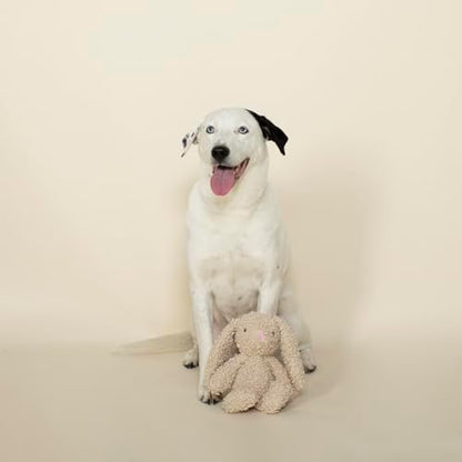 Fringe Studio Squeaker Pet Toy, Bunny (289657), Gray