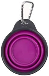 Dexas Pets Collapsible Travel Cup, Small/1 Cup Capacity, Fuchsia