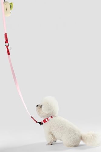 WLK1004G-5SET Luna Small 8FT Adjustable 6-in-1 Waterproof Hands-Free Leash and Collar with LED Flashlight, Bag Dispenser, and Poop Bag Holder, Paloma