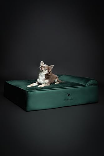 NOAH & PAW Dog Bed, 28x23x7.5 Inch, Orthopedic Dog Beds for Medium Size Pets, Eggshell Memory Foam Infused with Cooling Gel, Water Resistant, Machine Washable, Includes Inner Cover (Velvet Collection)
