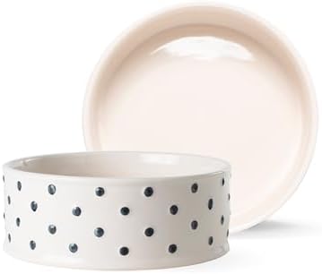Fringe Studio Memento DOT Medium Stoneware Pet Bowl, PetShop Collection (633201)