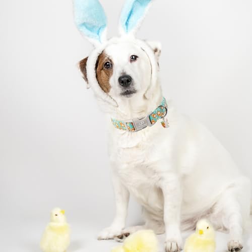 Easter Dog Collar, Lovely Cotton Easter Carrot Adjustable Puppy Collar for Girl Boy Dog, Adorable Carrots Collar for Small Medium & Large Dogs