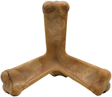 N-Bone Nbone 115097 Quado in Pumpkin, Large (575174) (Pack of 6)