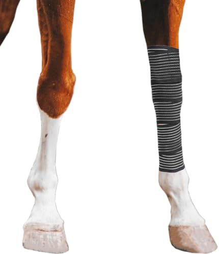 Elastic Compression Bandage Wrap for Horses, Adjustable Equine Leg Support, Breathable Stretch Wrap for Tendon, Ankle, Hock, Swelling