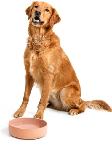 The Perfect Dish - Silicone Dog Bowl for Food & Water, 9.5" x 2.5"-Blush