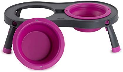 Dexas Pets Double Elevated Pet Feeder, Fuchsia, Small/1 Cup Capacity Bowls (PW1004322405) (Pack of 2)