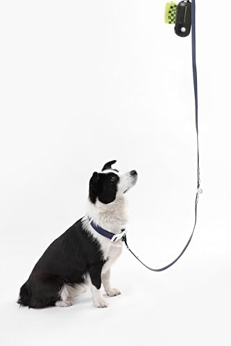 WLK1006J-5SET Luna Large 8FT Adjustable 6-in-1 Waterproof Hands-Free Leash and Collar with LED Flashlight, Bag Dispenser, and Poop Bag Holder, Highball