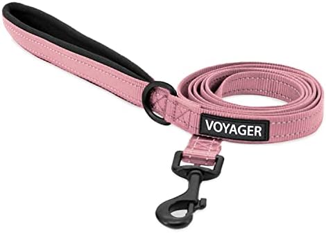 Best Pet Supplies Voyager Nylon Dog Leash - Pink, Large