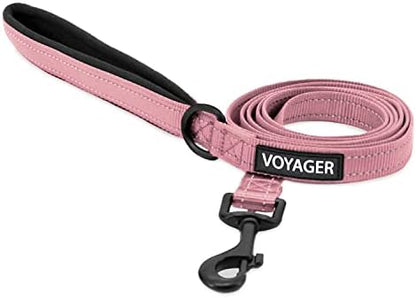 Best Pet Supplies Voyager Nylon Dog Leash - Pink, Large