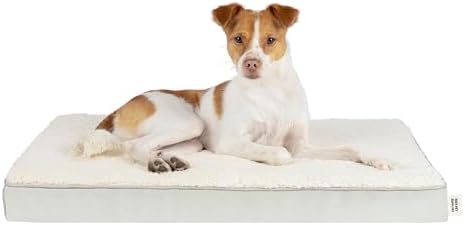 Best Pet Supplies Soft Plush Cute Indoor Dog Bed for Small, Medium, and Large Breeds - Beige, 30x20x3