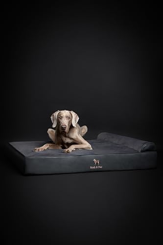 NOAH & PAW XL Dog Bed, 45x35x9.1 Inch, Orthopedic Large Dog Beds, Eggshell Memory Foam Infused with Cooling Gel, Water Resistant, Machine Washable, Includes Inner Cover (Faux Leather)