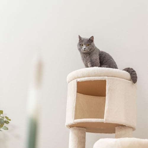 TRIXIE Aidan 53" Jute Cat Tree Tower - Posts, Hammock and Condo, Brown
