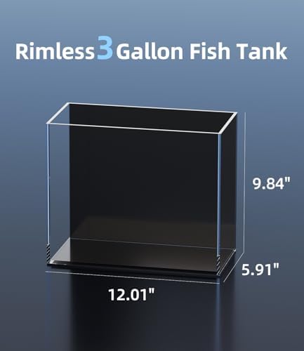 3 Gallon Glass Fish Tank Rimless with Black Background Rectangular Tank
