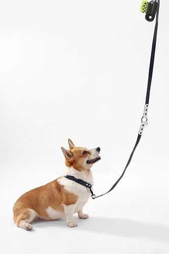 Medium Luna 8FT Adjustable 6-in-1 Waterproof Hands-Free Leash and Collar Set with LED Flashlight, Waste Bag Dispenser, and Poop Bag Holder, Navy White, Highball WLK1005J-5SET